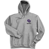 Curry College Super Heavyweight Fleece Hoodie